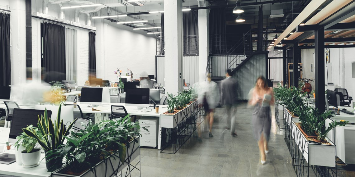 Office interior with greenery outside